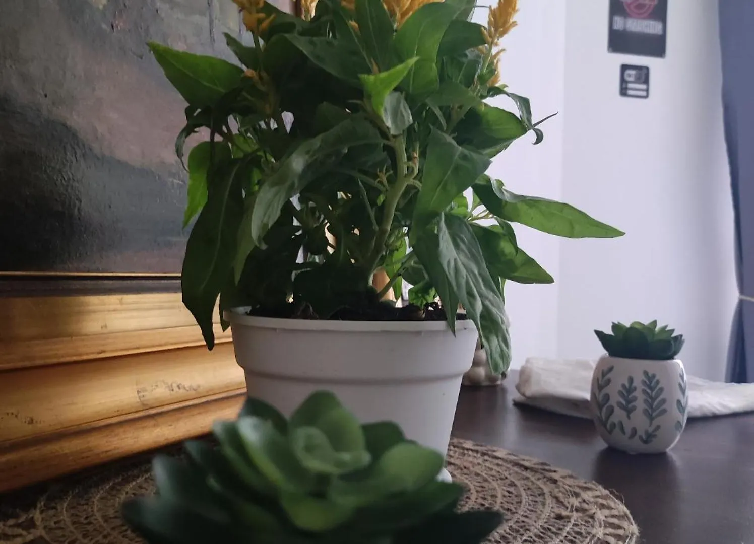 La Dimora Di Elma Apartment Palermo
